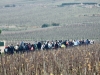 Plus de 300 participants pour la randonnée familiale