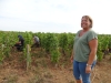 La Côte de Beaune à l’heure des vendanges