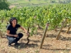 Hospices de Beaune - Un millésime 2026 hors normes qui bouscule tous les repères