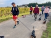 Beaune – “Lien Rose by Beaune” : près de 300 participants et plus de 2 000 € collectés