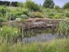 Beaune et région – Quatre jardins privés ouvrent leurs portes pour financer des jardins thérapeutiques