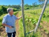 Montagne de Beaune – Un clos renaît de ses racines : permaculture, truffes et vins bio… plongez dans l’univers de Jean-Louis Martin