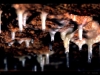 Beaune - Jean-Louis Martin, l’homme qui creusa son rêve dans le ventre de la montagne : immersion dans la grotte de La Terre d’Or