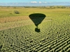 J’ai testé pour vous - Entre ciel et vignes : l’ivresse douce d’un vol avec Beaune Montgolfière, une parenthèse de quiétude et de poésie