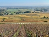 Balade automnale sur la colline de Corton - Des climats lumineux et des panoramas à couper le souffle