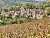 Balade automnale sur la colline de Corton - Des climats lumineux et des panoramas à couper le souffle