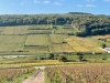 Balade automnale sur la colline de Corton - Des climats lumineux et des panoramas à couper le souffle