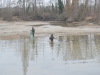 Gestion et préservation des Étangs d'Or - Vidange annuelle pour favoriser la biodiversité aquatique