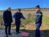 Saint-Vincent Tournante 2024 - Un drone, une brigade équestre et une soixantaine de gendarmes mobilisés sur les deux jours