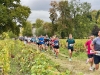 Savigny-lès-Beaune – 35e Foulée des Vendanges : 1 050 au départ du 10 km, course reine, entre performance et solidarité, retour en images