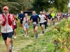 Savigny-lès-Beaune – 35e Foulée des Vendanges : le semi-marathon, 21 km d'efforts au cœur du vignoble, retour en images
