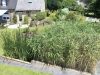 Côte-d'Or – V2G Paysages crée des « jardins d'assainissement » pour traiter naturellement les eaux usées 