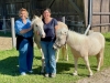 Vignoles - L’Écurie du Pasquiers relance l’école d’équitation du baby poney à la compétition