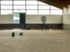 Vignoles – Du baby poney à la compétition, le centre équestre de l'Écurie du Pasquiers fait le plein de cavaliers