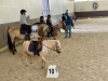 Vignoles – Du baby poney à la compétition, le centre équestre de l'Écurie du Pasquiers fait le plein de cavaliers
