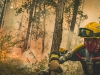 Feux de forêt en Côte-d'Or - La situation s'améliore, mais la vigilance reste de mise