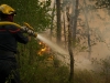 Feux de forêt en Côte-d'Or - La situation s'améliore, mais la vigilance reste de mise