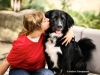 Des chiens guides pour enfants déficients visuels : la Fondation Frédéric Gaillanne, une école unique en Europe