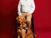 Des chiens guides pour enfants déficients visuels : la Fondation Frédéric Gaillanne, une école unique en Europe