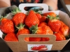 Des fraises chalonnaises ... produites et vendues chez Fleurs de Gergy 
