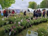 FOIRE AUX PLANTES DE LA FERTE - 9000 visiteurs ce samedi ... et ça se poursuit ce dimanche ! 