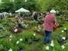 FOIRE AUX PLANTES DE LA FERTE - 9000 visiteurs ce samedi ... et ça se poursuit ce dimanche ! 