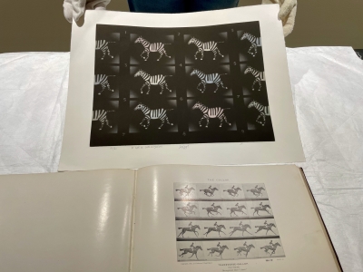 Musée des Beaux-Arts de Beaune - Série « Trésors cachés » :  Mario Avati, maître de la lumière noire : un trésor caché du Musée des Beaux-Arts de Beaune