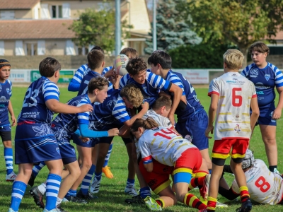 Beaune – Rugby : sept victoires en huit matchs, le CSB en grande forme