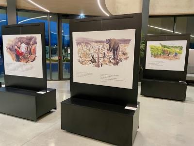 Beaune - “Quatre saisons de la vigne” : quand aquarelle et poésie célèbrent le terroir bourguignon à la Cité des Climats et vins de Bourgogne