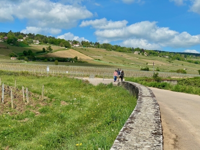 Beaune - Les Climats en fête dans les vignes ont attiré de nombreux visiteurs