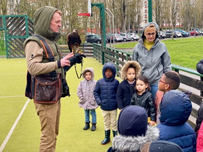 Fauconnerie Team de Dijon : Quand bioprédation et pédagogie se rencontrent