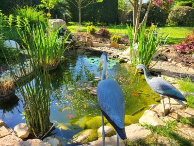 Beaune et région – Quatre jardins privés ouvrent leurs portes pour financer des jardins thérapeutiques