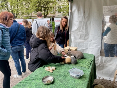 Beaune - KIWAPâques a rassemblé la foule pour une journée festive au profit des enfants