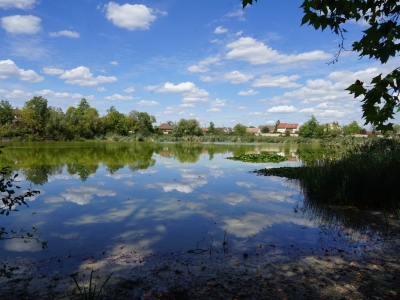 Beaune - La Ville préempte le lac Joigneaux pour en faire un grand site de loisirs naturel