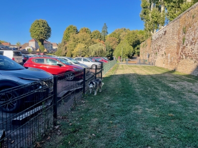 Beaune – L’espace canin du parking République rouvre après des aménagements