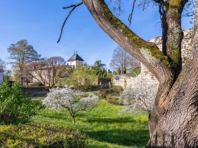 Beaune - Quand les arbres racontent l’histoire des remparts
