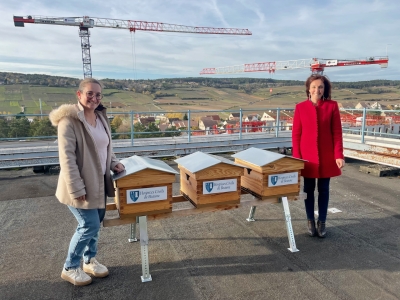 Beaune - Les abeilles prennent de la hauteur aux Hospices Civils