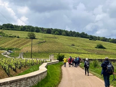 Beaune - Bon pied, bon œil avec les randonnées du club « Les SACADO de Beaune »