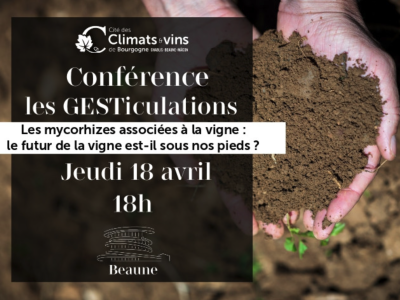 Beaune - Cité des Climats et Vins de Bourgogne - Conférence : Les mycorhizes associées à la vigne : le futur de la vigne est-il sous nos pieds ?