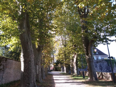 Beaune – Une conférence pour porter un nouveau regard sur le cimetière, le 17 février