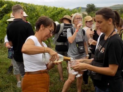 Nolay - Rallye pédestre « De Cep en Verre » : 7 km de nature, de dégustations... et d’engagements écologiques
