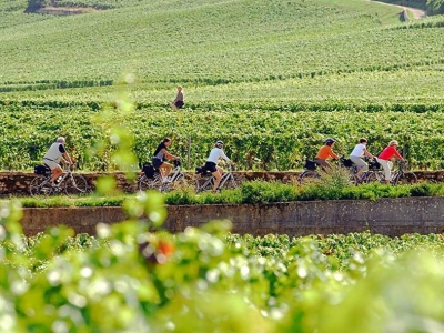 Beaune - L’Hôtel-Dieu dévoile un programme d’avril riche et inédit : patrimoine, vélo et gastronomie