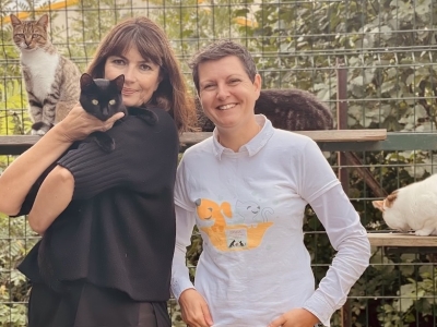 Un Noël aussi pour eux ? La romancière Valérie Perrin viendra fêter le Noël des animaux avec vous (et eux) au refuge animalier de Gueugnon