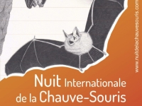 Nuit Internationale de la Chauve-souris le mardi 18 juillet à Santenay