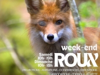 Dans l’intimité du renard : un week-end pour tout comprendre à Lons-le-Saunier