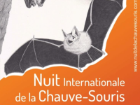 Participez à La nuit de la chauve-souris à partir de 20h le 13 août 2022 à Bouilland