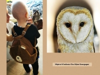 Les Chouettes du Cœur déploient leurs ateliers au CHU Dijon Bourgogne grâce au soutien de l’ADPS