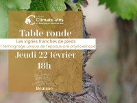 Beaune – À la découverte de la vigne franche de pied avec une table ronde à la Cité le jeudi 22 février