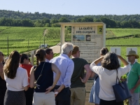 Les Climats de Bourgogne en fête : rendez-vous le 19 avril au Domaine Baptiste Guyot