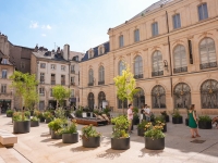 Dijon – La place de la Sainte-Chapelle devient un havre de fraîcheur en plein cœur de ville